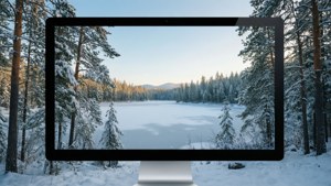 Winter Wonderland