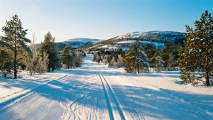 Winter Wonderland Hills