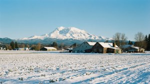 Winter Wonderland in Abbotsford
