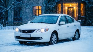 Winter Wonderland Lacetti