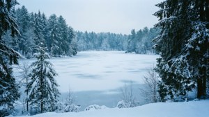 Winter Wonderland Overview