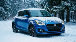 Winter Wonderland Swift