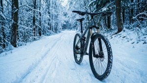 Winter Wonderland Trail