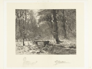 Wintergezicht in het Haagse bos