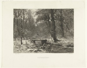 Wintergezicht in het Haagse bos