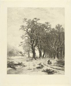 Winterlandschap