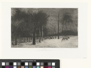Winterlandschap met bomen en wolf