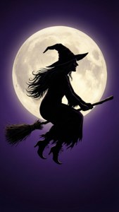 Witch Silhouette Moonflight
