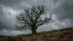 Withered Tree on Hill