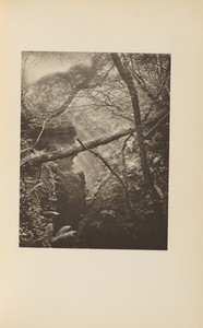Wizard's Slough