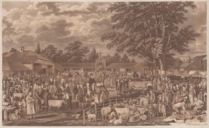 Wobourn Sheepshearing