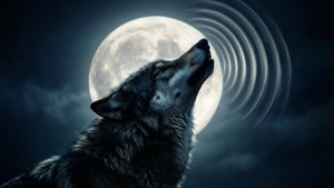 Wolf Howling Moon