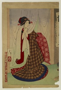 Woman Going Through Noren Curtains