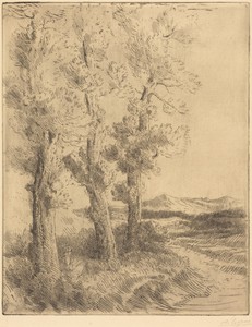 Woman Reading: Lesson under the Trees (La liseuse: La lecture sous les arbres)