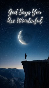 Wonderful Night
