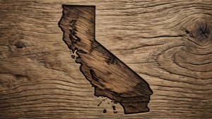 Wood Carved California