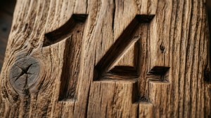 Wood Carved Fourteen