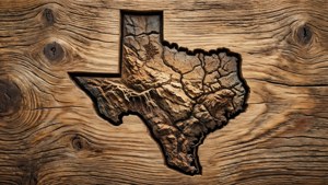 Wood Carved Texas