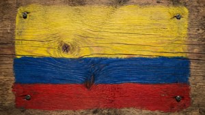 Wood Texture Flag