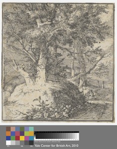 Wooded Landscape