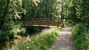 Wooden Bridge Over Creek in Vernon Forest