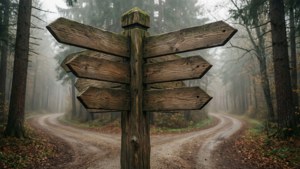 Wooden Direction Sign in Forest