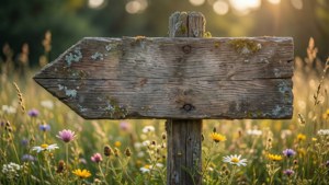 Wooden Sign in Meadow