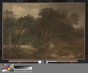 Woodland Landscape near Norwich