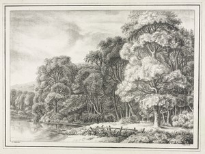 Woodland Scenery with Lake