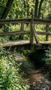 Woodland Stream Bridge