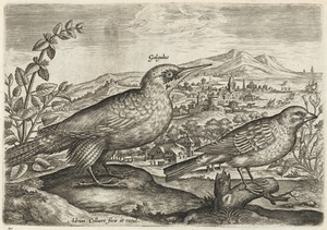 Woodpecker and Bunting