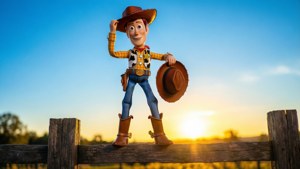 Woody at Sunset