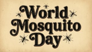 World Mosquito Day Typography