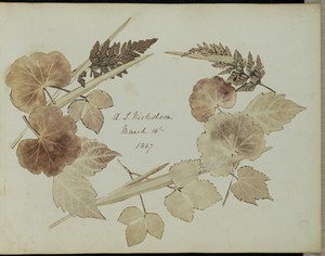 [Wreath of leaves and branches]