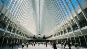 WTC Hub Architecture