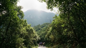Wutong Mountain Trail