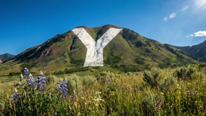 Y Mountain Summer