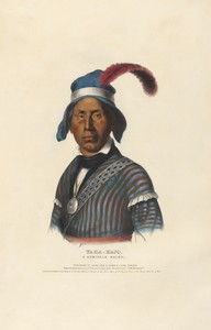 Yaha-hajo - A Seminole Chief