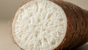 Yam Texture Macro