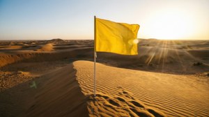 Yellow Flag Desert