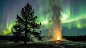 Yellowstone Aurora