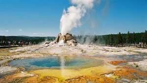 Yellowstone Geyser