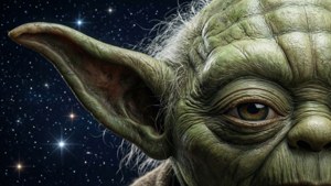Yoda Ear Close-Up