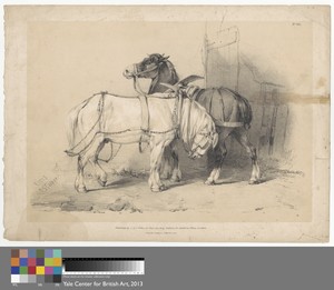 Yoked Horses, No. 32