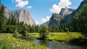 Yosemite Valley Vista