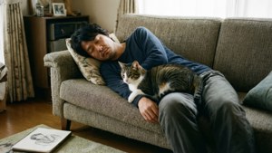 Yotasuke and Cat
