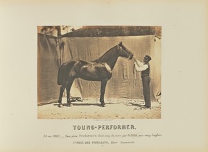 Young-Performer
