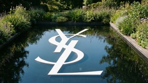 YSL Reflection in Water
