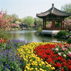 Yuntai Garden Blooms