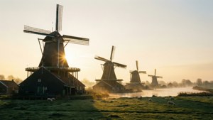 Zaanse Schans Windmills at Sunrise